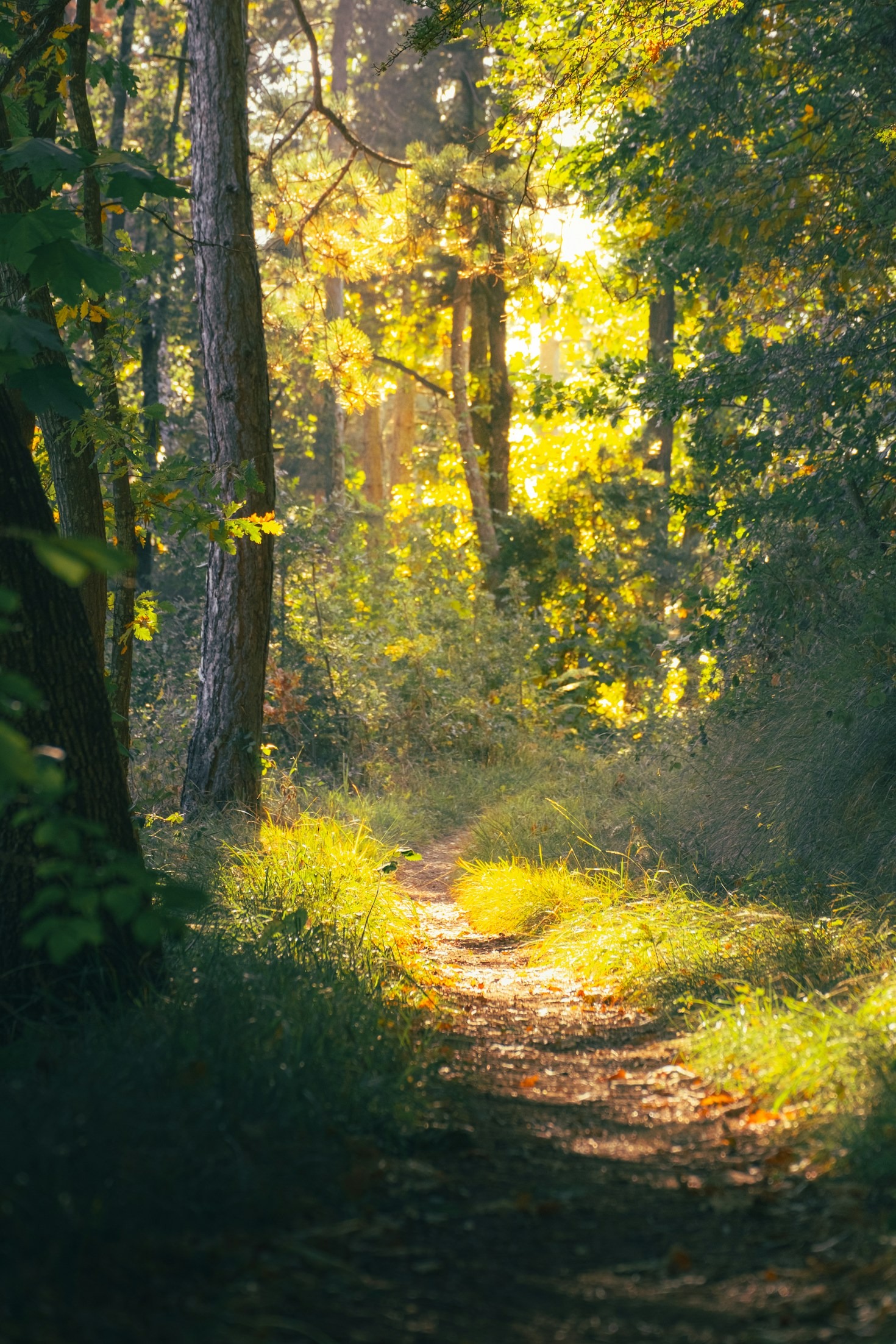 Entre Vales e Montes: A Beleza do Ritmo Lento